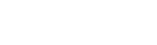 Netbiis Academy